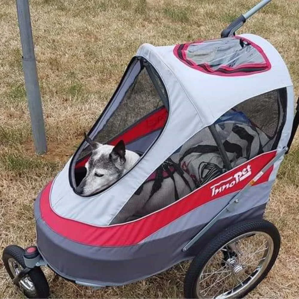 InnoPet Sporty Deluxe Dog Pram Bike Trailer with Free Rain